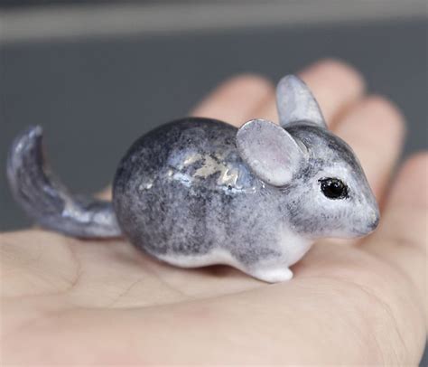 clay chinchilla